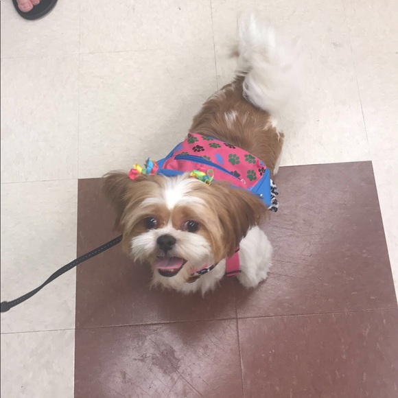 Meet your Posher, Victoria - Picture 3 of 8